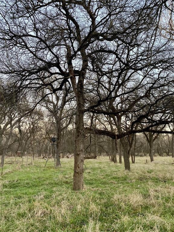 243 Iroquois Trail, Weatherford, TX 76087 - photo 5