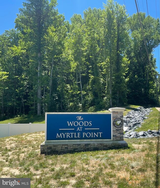 45485 Woodslea Way, California, MD 20619 - photo 2