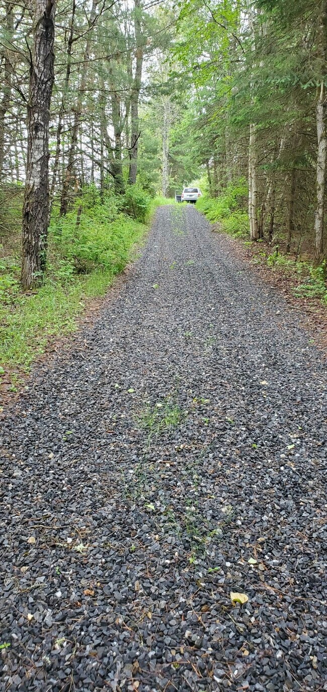 160 Bear Ridge Rd unit 2, Burke, VT 05871 - photo 3