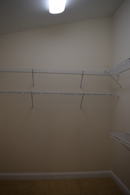 162 Linzy Store Rd, Crawfordville, FL 32327 - photo 4