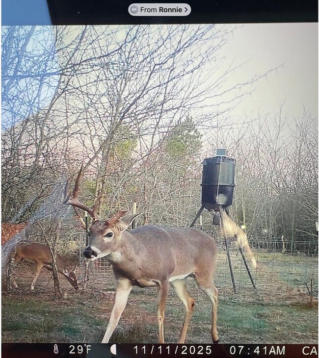 113 AC Fm 3218, Commerce, TX 75428 - photo 7