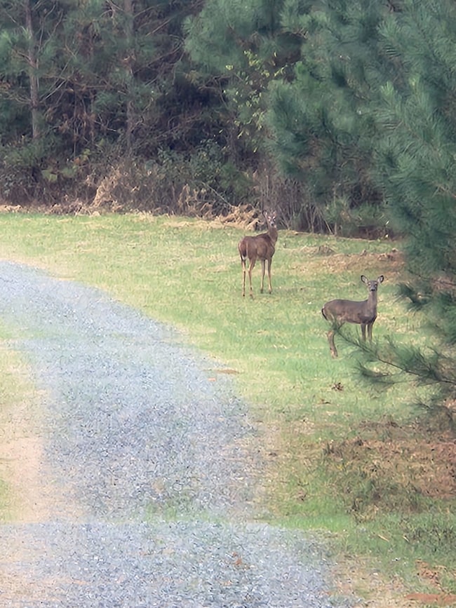 Highway 42, Culloden, GA 31016 - photo 3