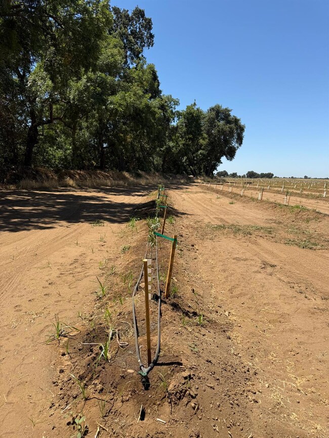 14255 E Prouty Rd, Galt, CA 95632 - photo 7