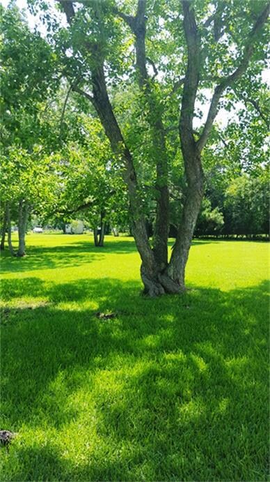 16519 County Road 191, Alvin, TX 77511 - photo 4