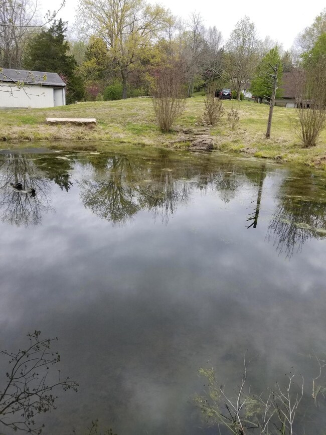 930 Lakeview Dr, Bloomfield, KY 40008 - photo 4