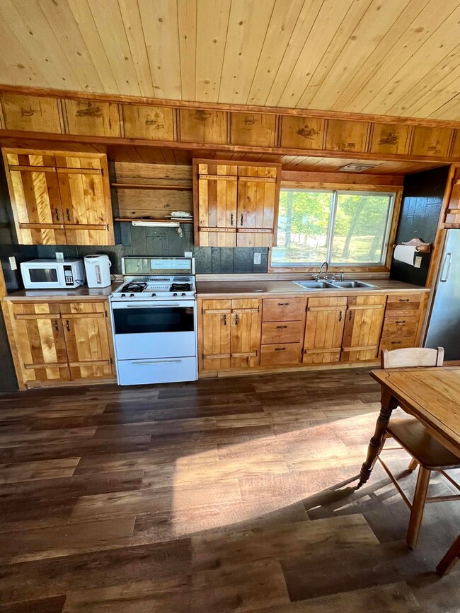 10921 N Pinegrove Ln, Bitely, MI 49309 - photo 5