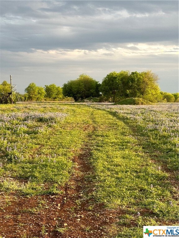12311 Stampede Rd, Moody, TX 76557 - photo 6