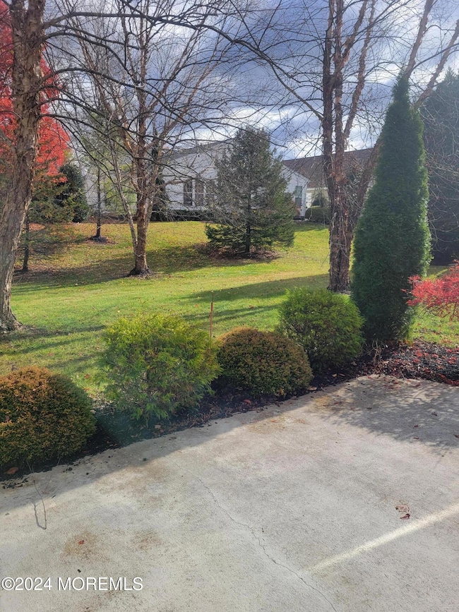 Patio View2