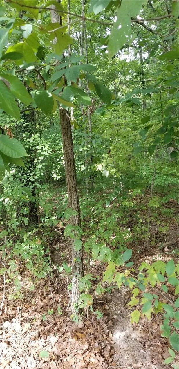 8 Weston Ln, Bella Vista, AR 72715 - photo 3