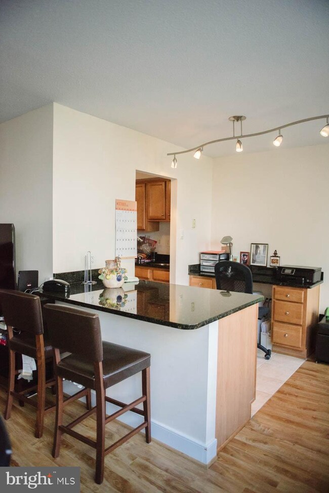Mica Condominiums unit 206, Silver Spring, MD 20910 - photo 2