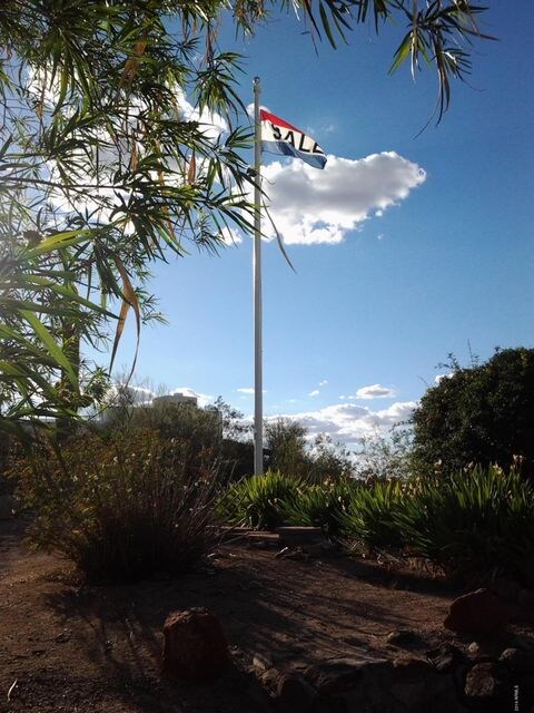 Flag Pole