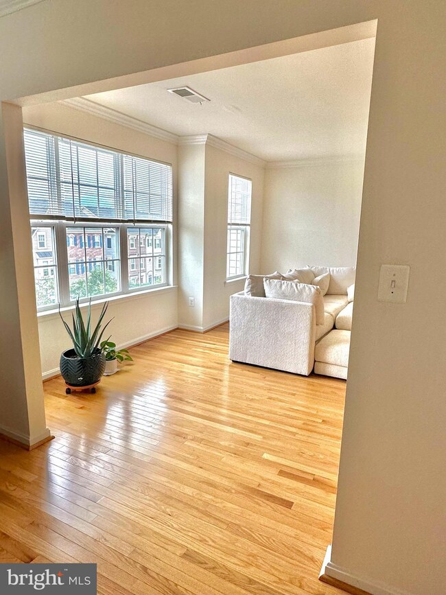 22910 Newcut Rd unit 3152, Clarksburg, MD 20871 - photo 5