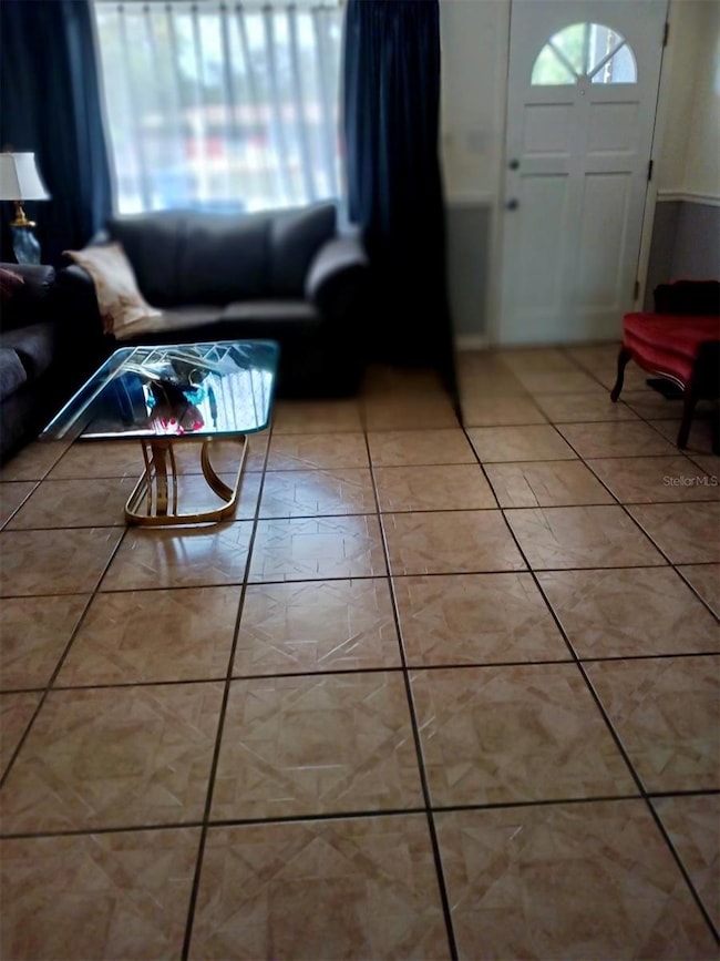 319 E 119th Ave, Tampa, FL 33612 - photo 5