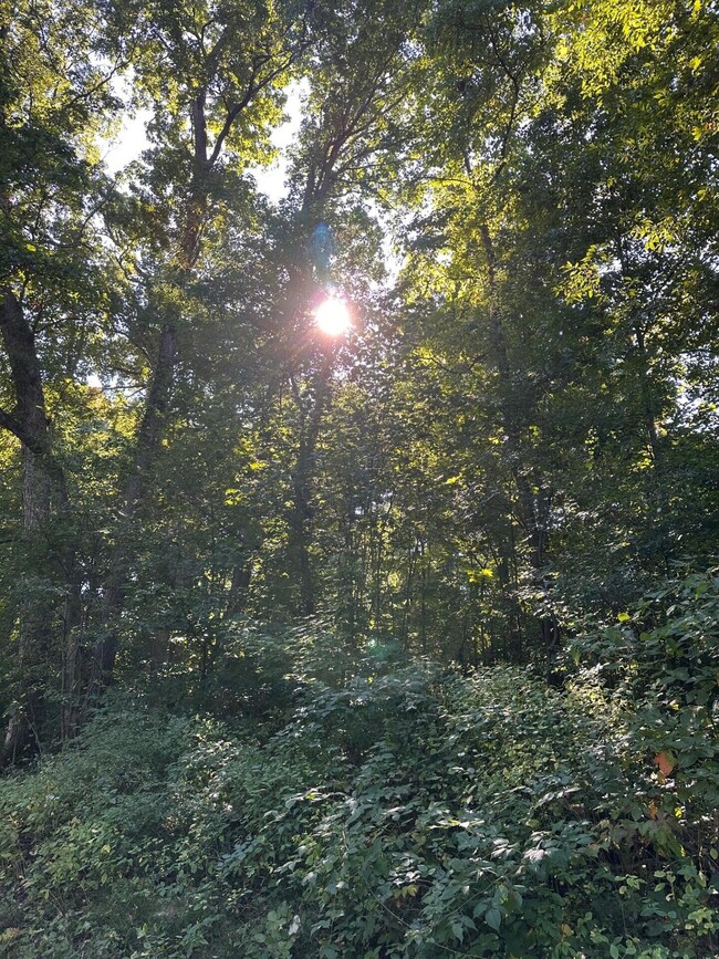 00 E Division Rd, La Porte, IN 46350 - photo 7