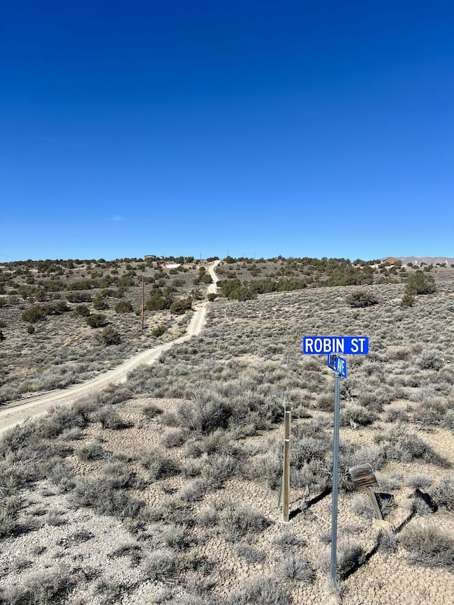 0 Lee Ave unit 3626046, Spring Creek, NV 89815 - photo 3