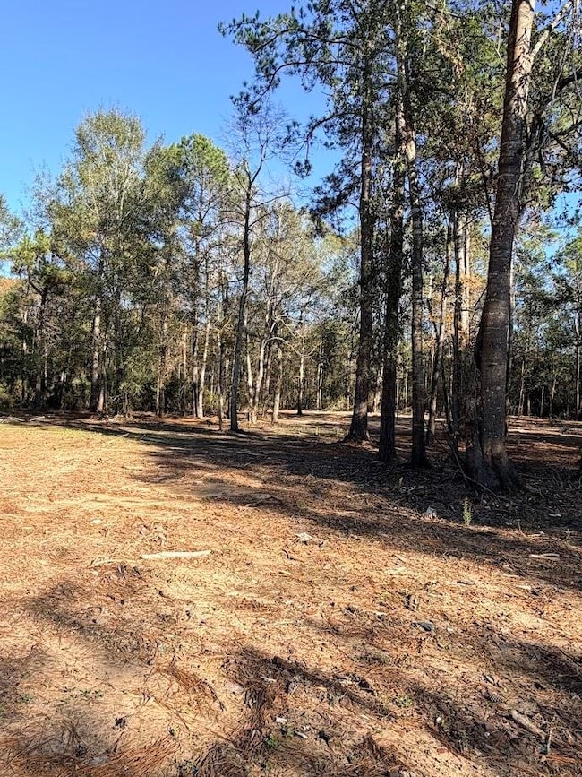 512 Monte Kelly, Buna, TX 77612 - photo 5