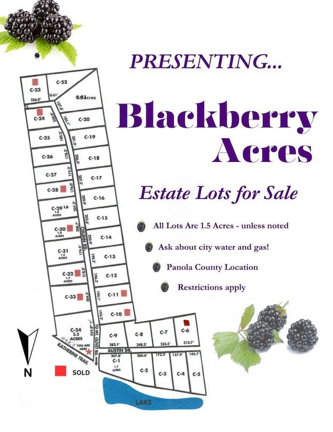 C-12 Chunn Rd, Batesville, MS 38606 - photo 2