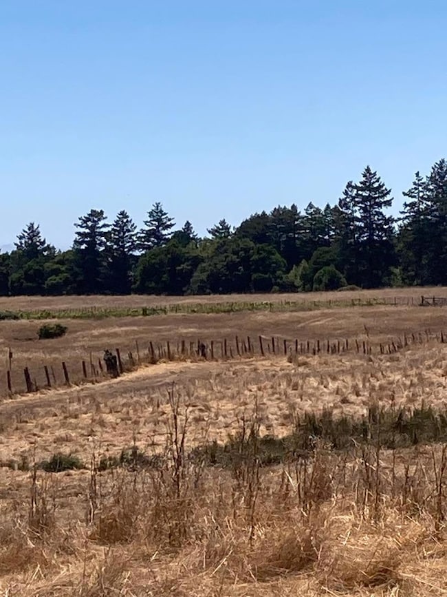 222 Highview Dr, Santa Cruz, CA 95060 - photo 4