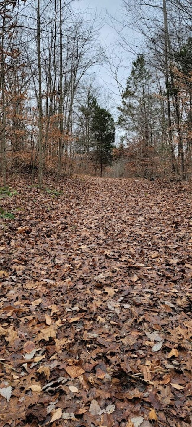 0 Blanton Rd unit 25681933, Mitchell, IN 47446 - photo 7