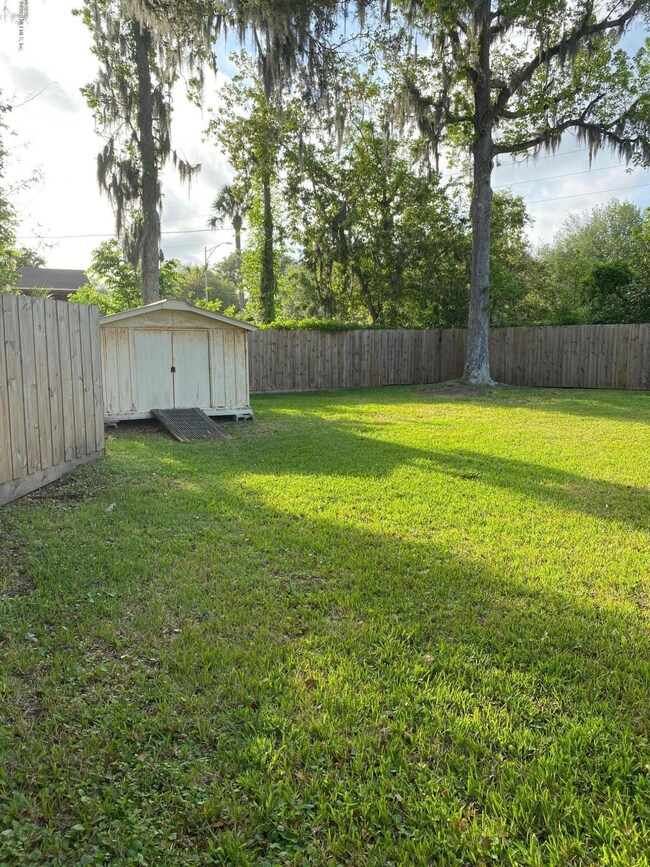 Back Yard 2
