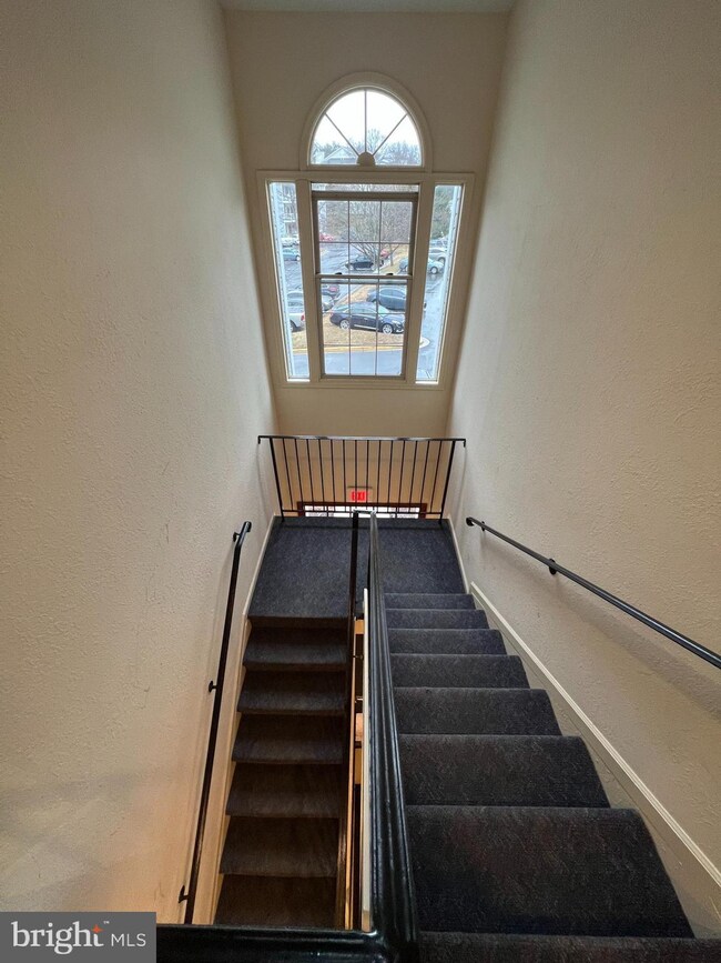 12220 Eagles Nest Ct unit M, Germantown, MD 20874 - photo 3