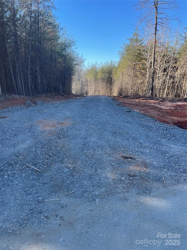 0 Springbrook Ln unit CAR4330953, Rutherfordton, NC 28117 - photo 2