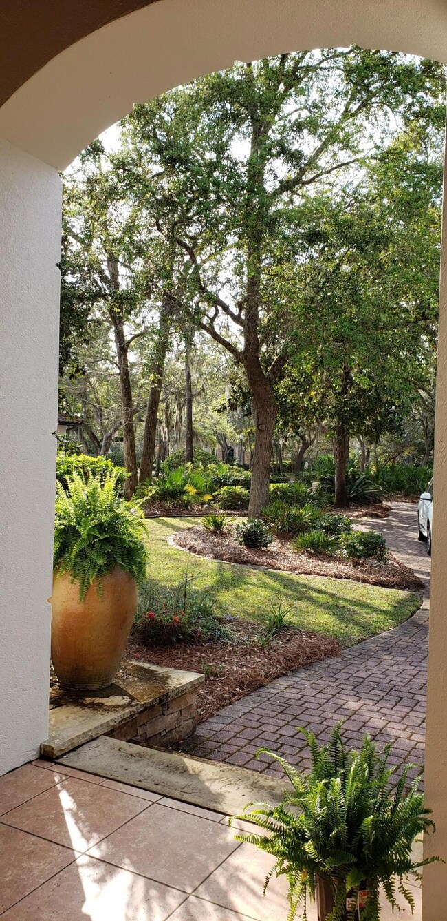 views from front porch