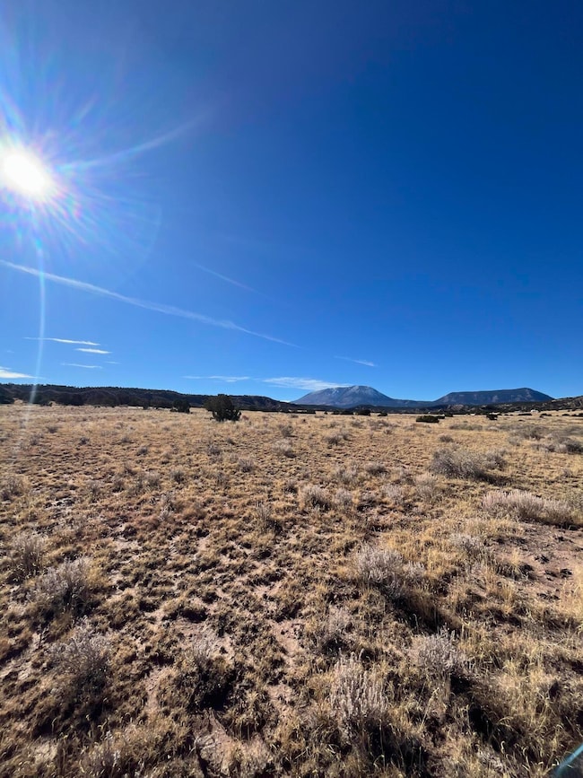 0 County Road 541 unit 95, Gardner, CO 81040 - photo 3