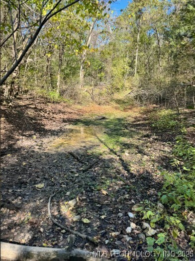 6620 N Starr Ridge Rd, Proctor, OK 74457 - photo 7