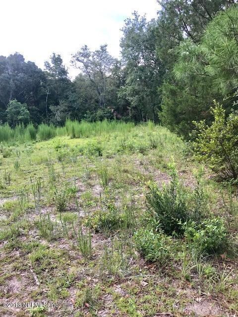 2485 Halperns Way, Middleburg, FL 32068 - photo 2
