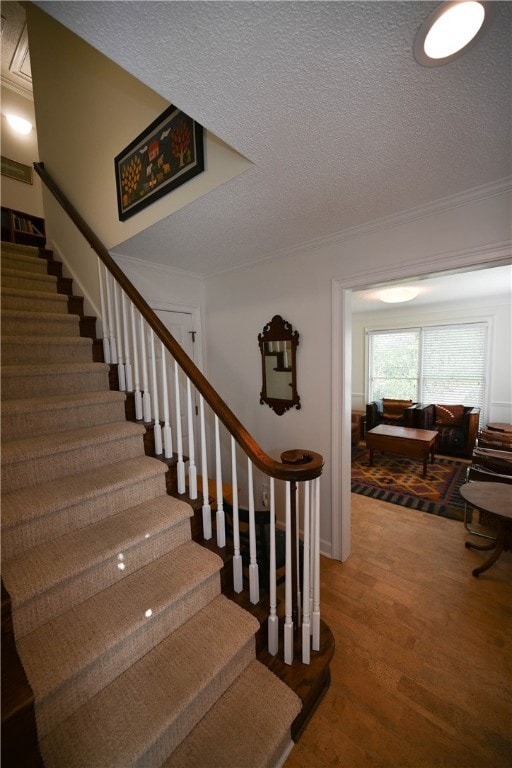 505 Moores Mill Rd, Auburn, AL 36830 - photo 7