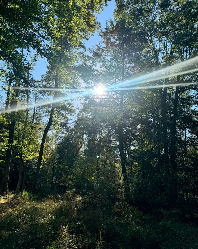 00 Elliott Rd, Hico, WV 25854 - photo 3