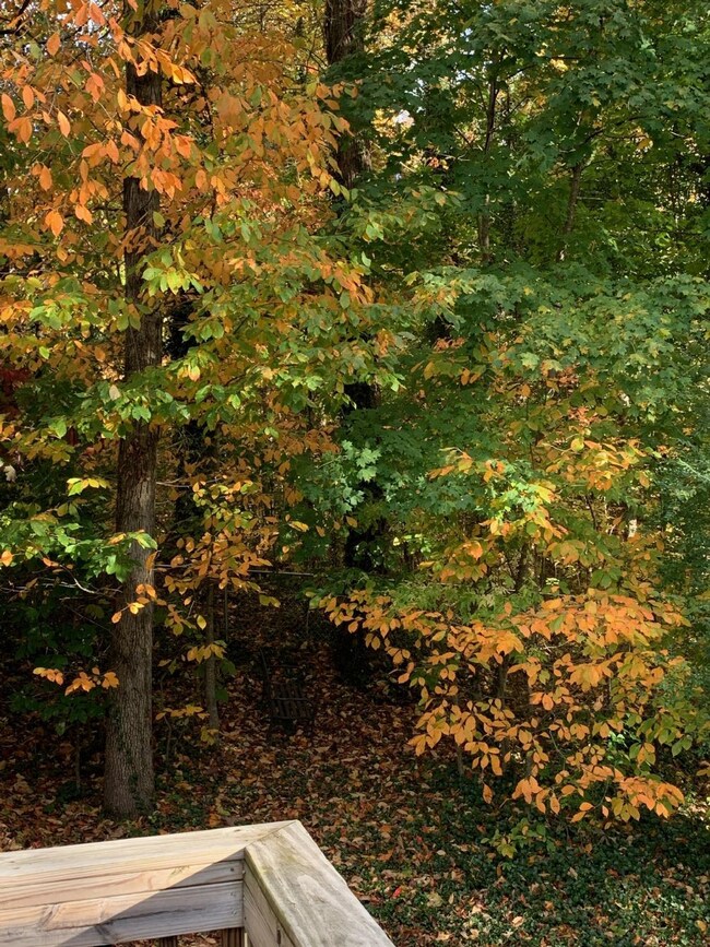 1562 Lake Villa Cir, Cookeville, TN 38506 - photo 2