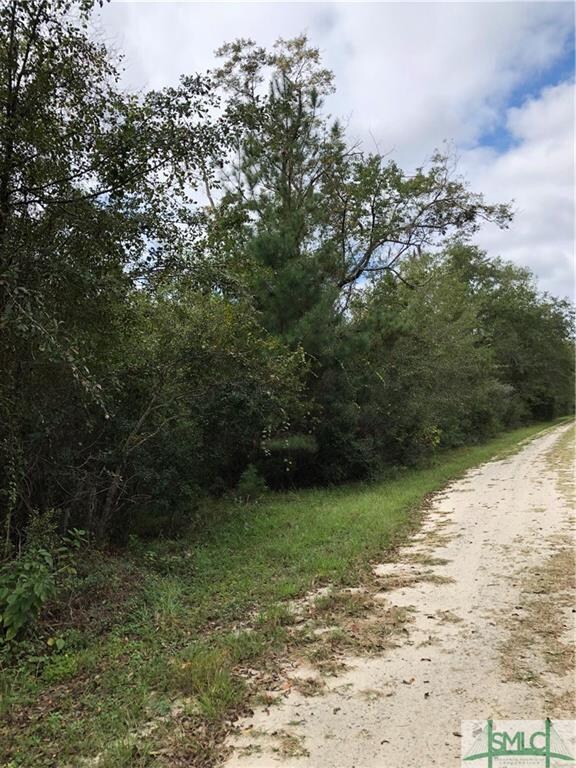 0 Ackerman Rd, Rincon, GA 31326 - photo 3