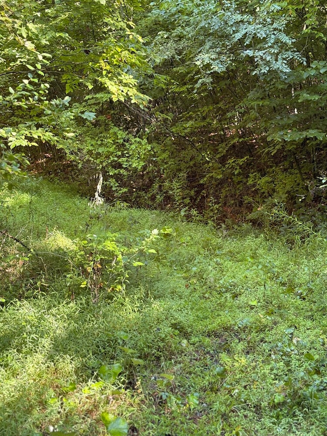 0 Morris Branch Rd unit 25-1144, Meadow Bridge, WV 25976 - photo 4