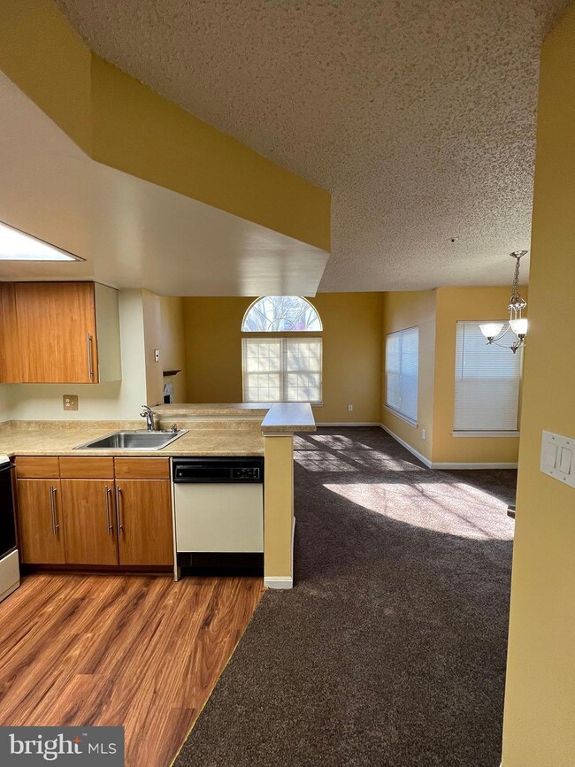 10533 Beacon Ridge Dr unit 13-102, Bowie, MD 20721 - photo 5