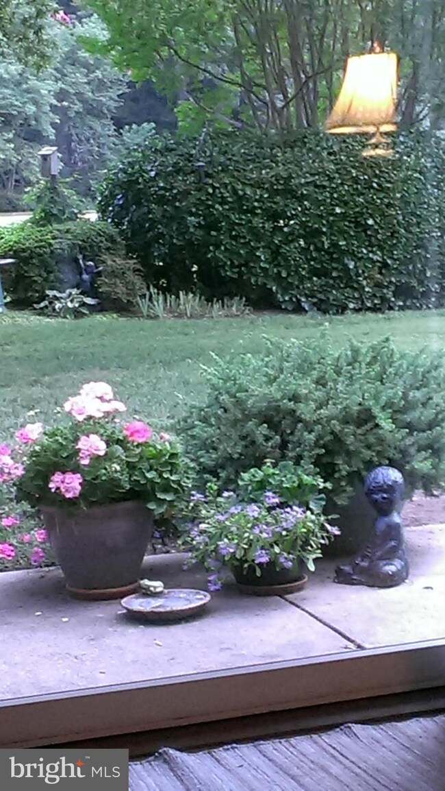 24580 Deepwater Point Dr unit 3, Saint Michaels, MD 21663 - photo 2