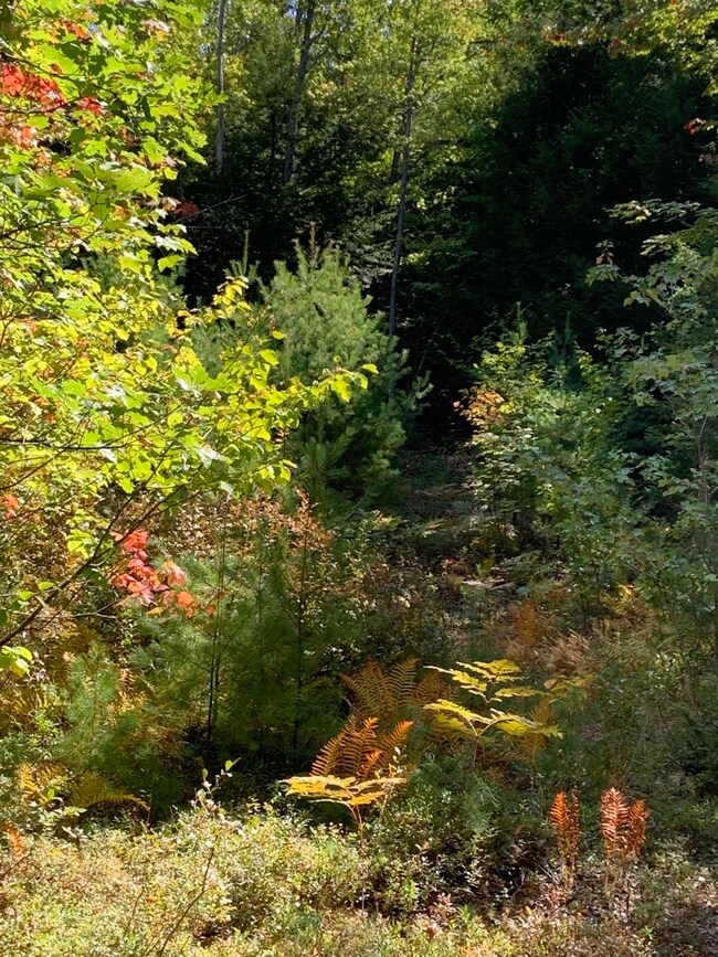 0 Clarks Bridge Rd unit 1469372, Waterboro, ME 04061 - photo 6