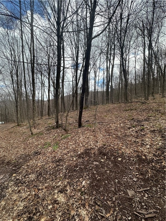 0 Kims Way, Blenheim, NY 12131 - photo 3