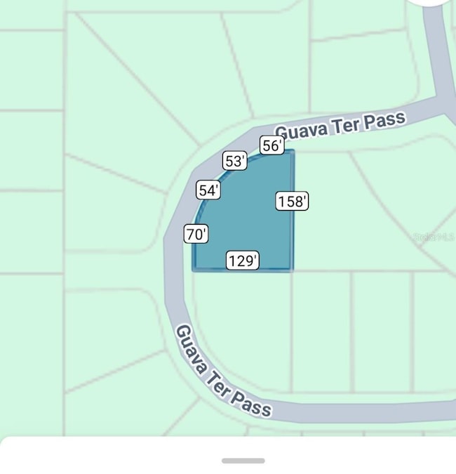 TBD Guava Terrace, Ocklawaha, FL 32179 - photo 7