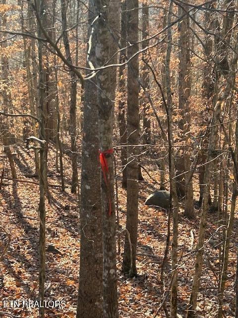 0 Whistle Valley Rd unit 1324743, New Tazewell, TN 37825 - photo 3