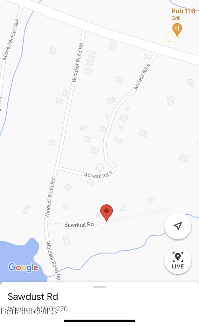 45 Access #3 Rd, Windsor, MA 01270 - photo 3