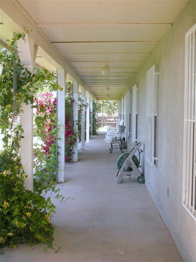 Additional Photo