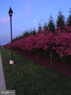 100 Forget me Not Dr, White Post, VA 22663 - photo 6