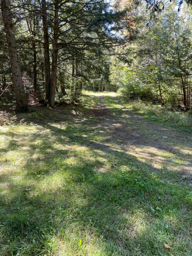 81 Parkman Rd, Garland, ME 04939 - photo 5