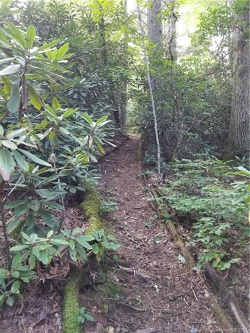 Lower part of the pathway that leads down to the c