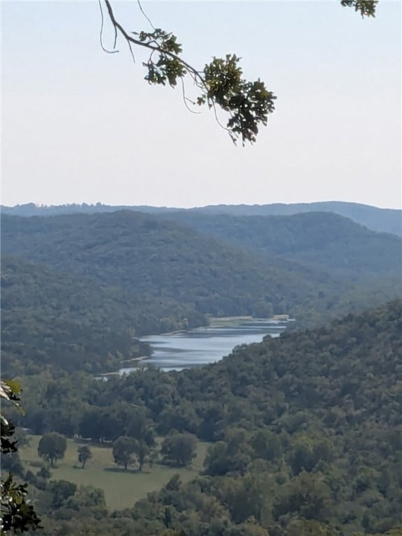 25 Cypress Point Ln, Eureka Springs, AR 72631 - photo 3