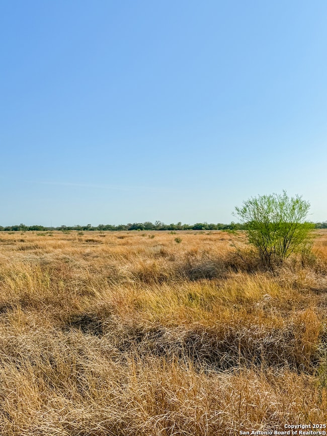 6870 County Road 329 (Tract 1-3)), Jourdanton, TX 78026 - photo 3