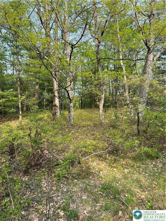 160 Oakridge Dr unit 137, Dingmans Ferry, PA 18328 - photo 2