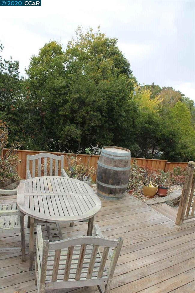 Picnic ready patio, surrounded by lime, tangerine & orange trees.